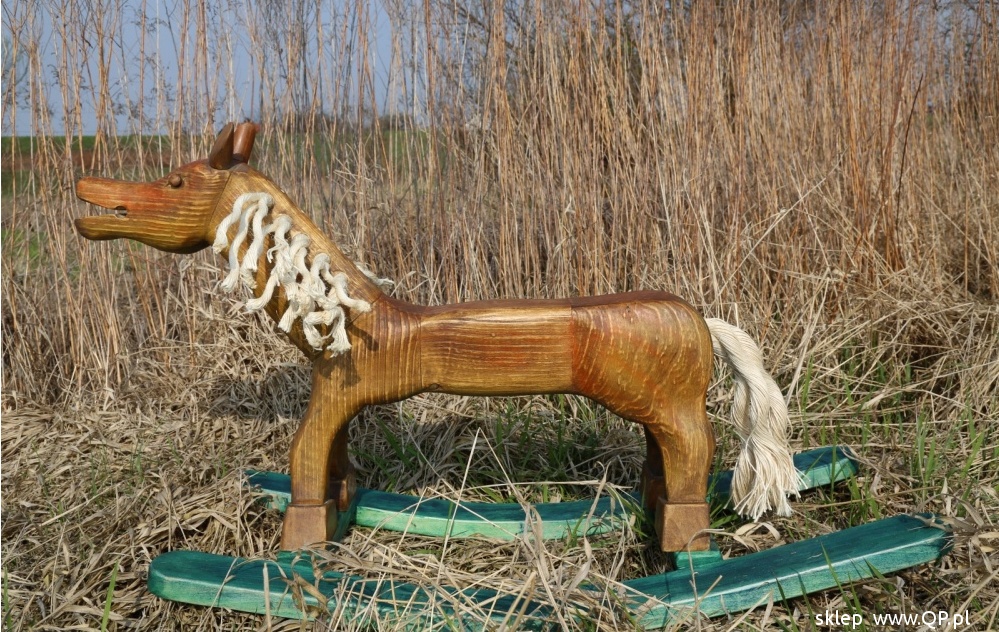 Konik na biegunach