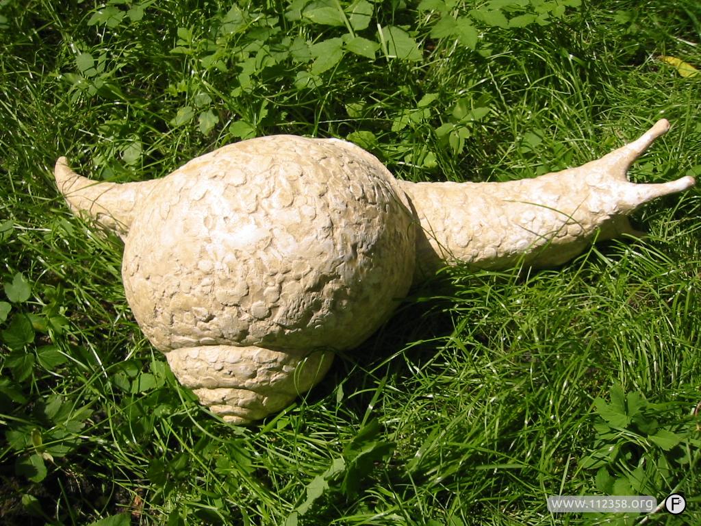 galeria_rzezba_slimak