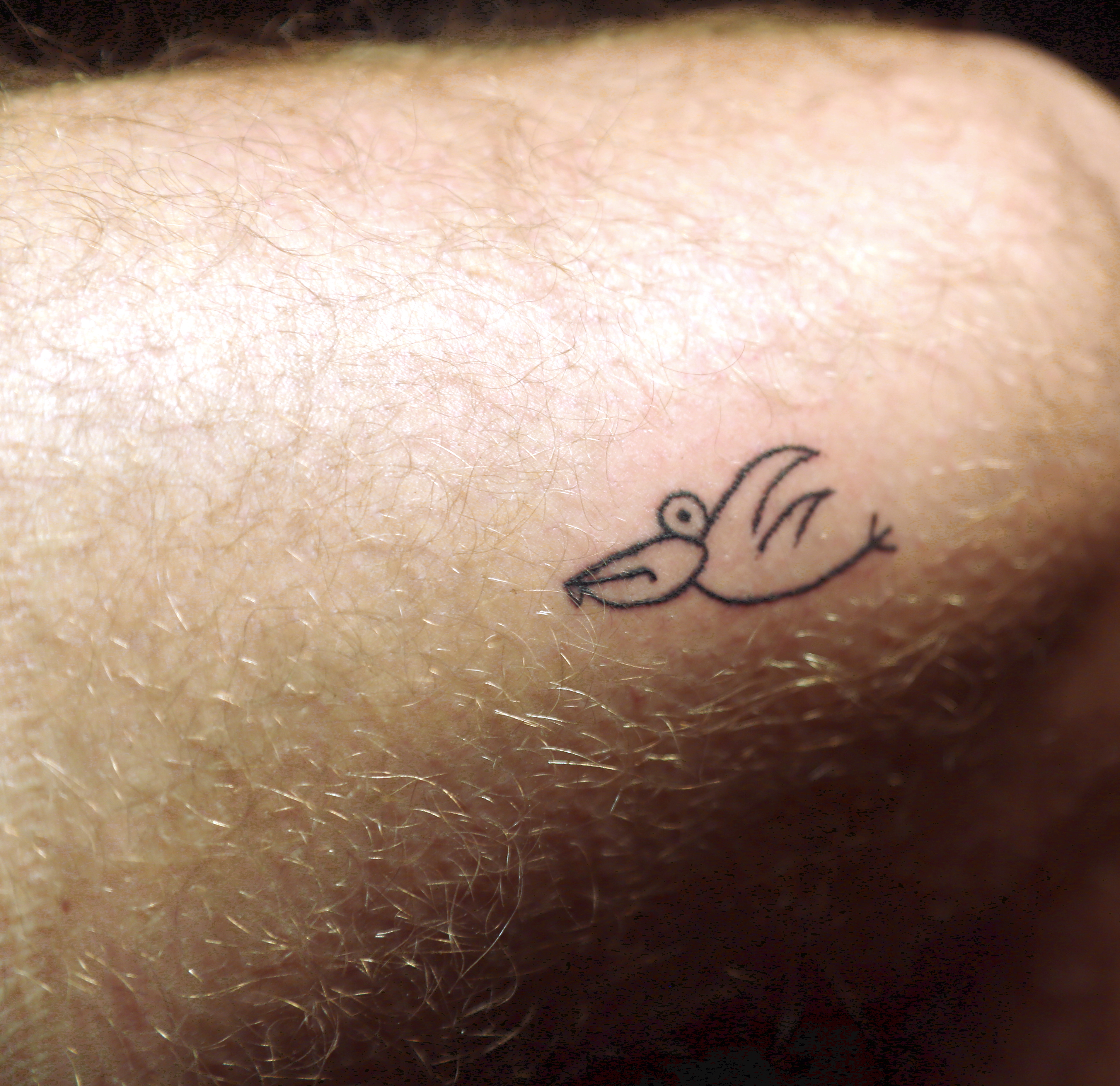 Tatuaże,dziary, handpoke – ręcznie nakłuwanie