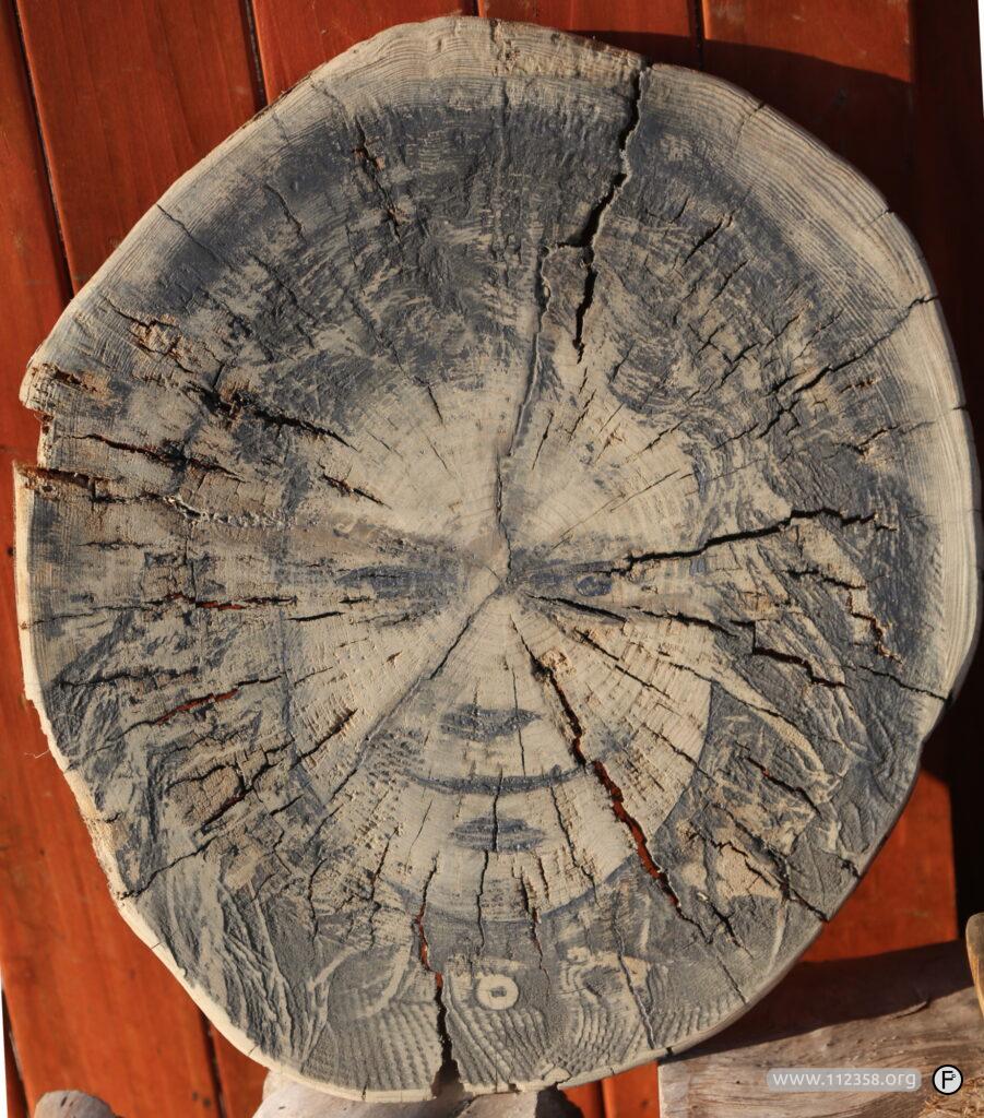 lilik_portret_na_drewnie_1