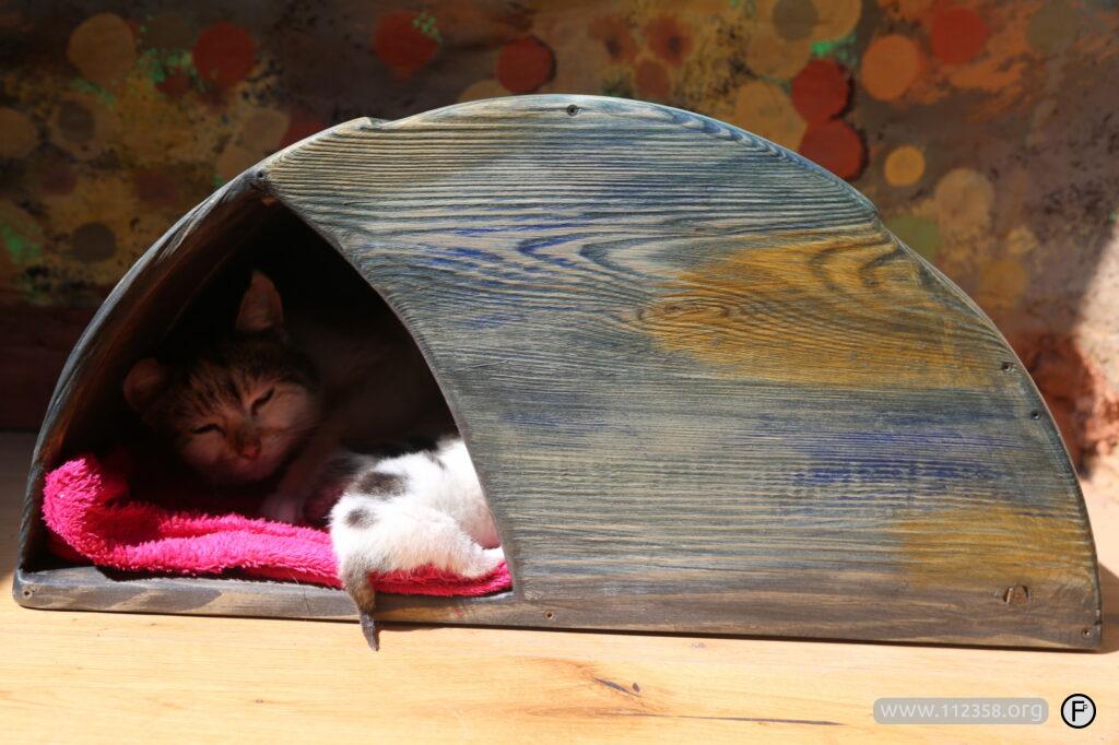 drewniany_domek_dla_kota_1