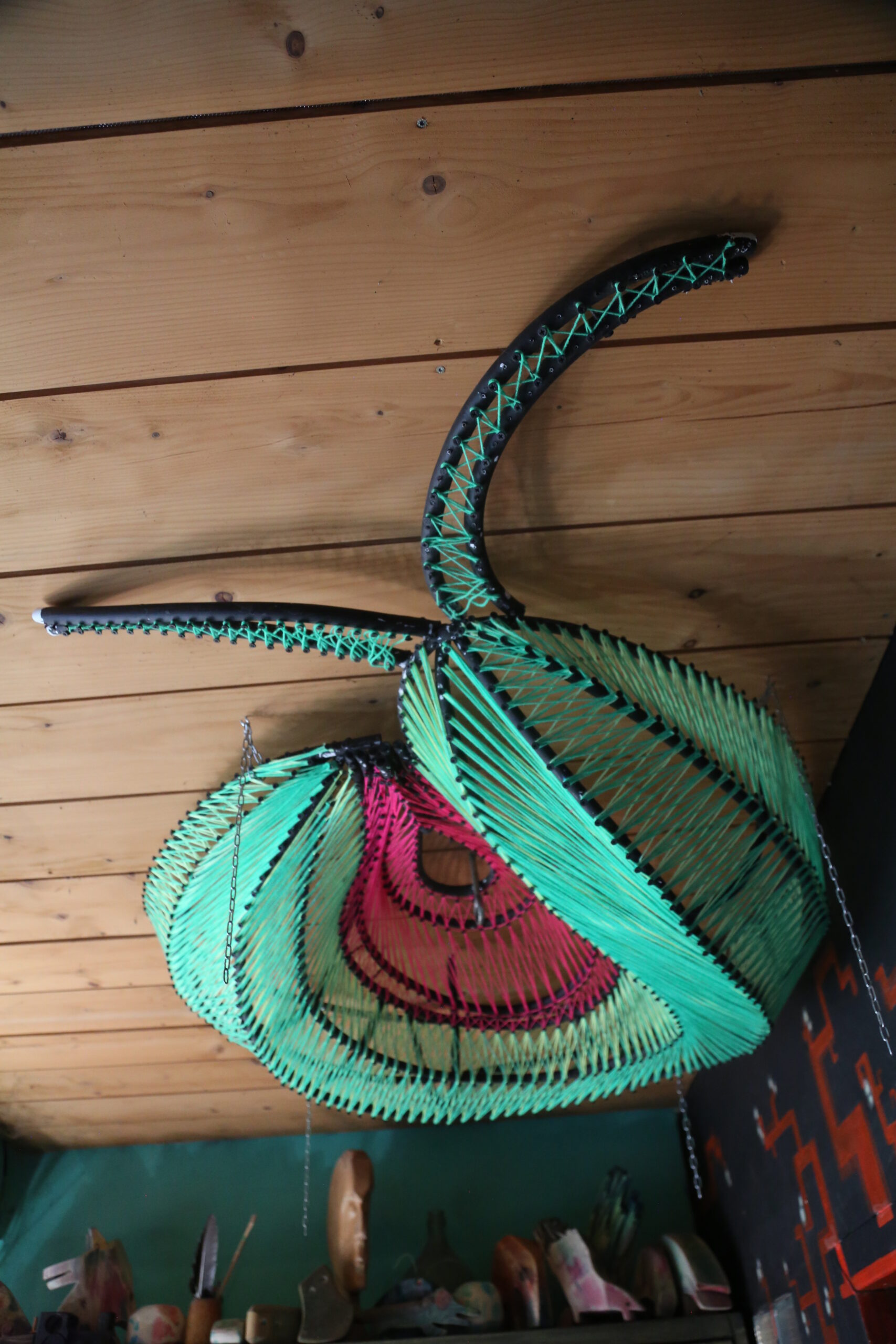 Ślimakocipa